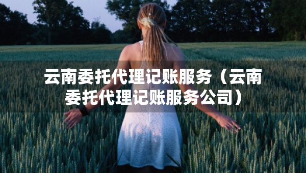 云南委托代理記賬服務(wù)（云南委托代理記賬服務(wù)公司）