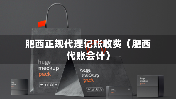肥西正規(guī)代理記賬收費(fèi)（肥西代賬會(huì)計(jì)）