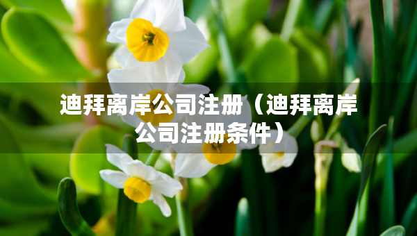 迪拜離岸公司注冊(迪拜離岸公司注冊條件) 迪拜離岸公司注冊(迪拜離岸公司注冊條件)