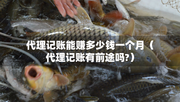 代理記賬能賺多少錢一個(gè)月(代理記賬有前途嗎?) 代理記賬能賺多少錢一個(gè)月(代理記賬有前途嗎?)