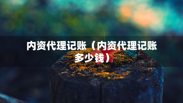 內(nèi)資代理記賬(內(nèi)資代理記賬多少錢(qián)) 內(nèi)資代理記賬(內(nèi)資代理記賬多少錢(qián))