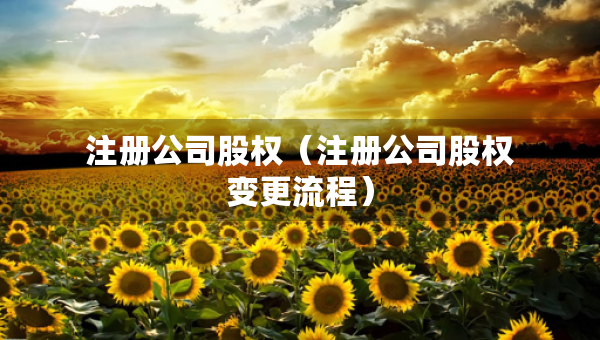 注冊公司股權(quán)（注冊公司股權(quán)變更流程）