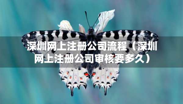 深圳網(wǎng)上注冊公司流程(深圳網(wǎng)上注冊公司審核要多久) 深圳網(wǎng)上注冊公司流程(深圳網(wǎng)上注冊公司審核要多久)