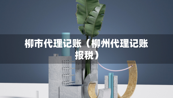 柳市代理記賬(柳州代理記賬報(bào)稅) 柳市代理記賬(柳州代理記賬報(bào)稅)