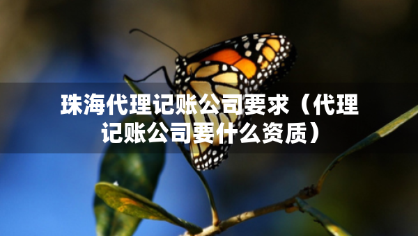 珠海代理記賬公司要求（代理記賬公司要什么資質(zhì)）