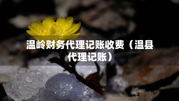 溫嶺財(cái)務(wù)代理記賬收費(fèi)（溫縣代理記賬）