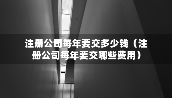 注冊公司每年要交多少錢（注冊公司每年要交哪些費用）