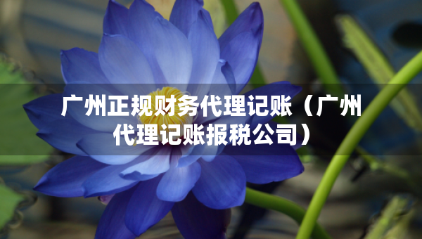 廣州正規(guī)財(cái)務(wù)代理記賬（廣州代理記賬報(bào)稅公司）