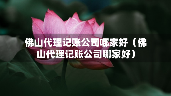 佛山代理記賬公司哪家好(佛山代理記賬公司哪家好) 佛山代理記賬公司哪家好(佛山代理記賬公司哪家好)