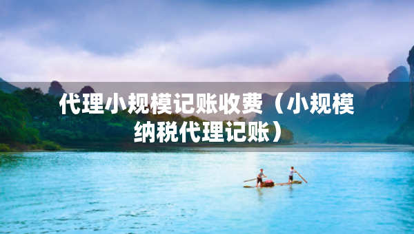 代理小規(guī)模記賬收費（小規(guī)模納稅代理記賬）