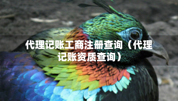 代理記賬工商注冊(cè)查詢（代理記賬資質(zhì)查詢）