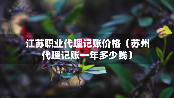 江蘇職業(yè)代理記賬價(jià)格(蘇州代理記賬一年多少錢) 江蘇職業(yè)代理記賬價(jià)格(蘇州代理記賬一年多少錢)