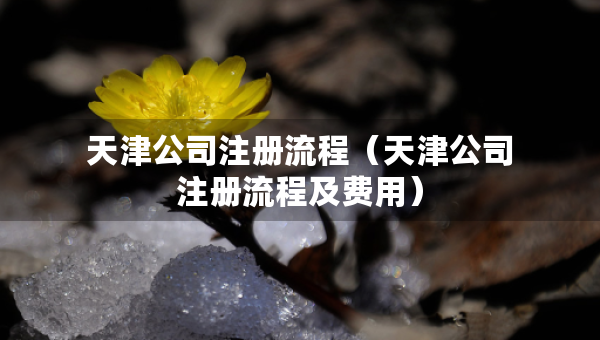 天津公司注冊流程（天津公司注冊流程及費用）