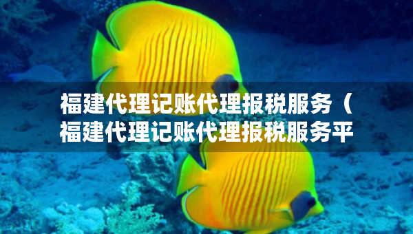 福建代理記賬代理報稅服務（福建代理記賬代理報稅服務平臺）