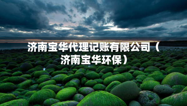 濟南寶華代理記賬有限公司（濟南寶華環(huán)保）
