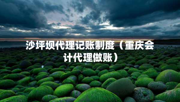 沙坪壩代理記賬制度（重慶會(huì)計(jì)代理做賬）