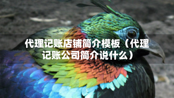 代理記賬店鋪簡(jiǎn)介模板(代理記賬公司簡(jiǎn)介說(shuō)什么) 代理記賬店鋪簡(jiǎn)介模板(代理記賬公司簡(jiǎn)介說(shuō)什么)