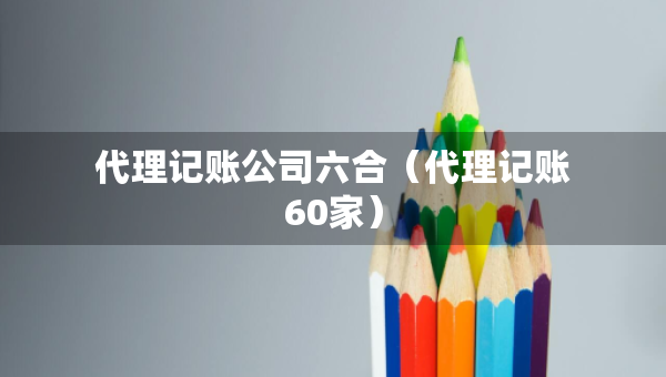 代理記賬公司六合（代理記賬60家）