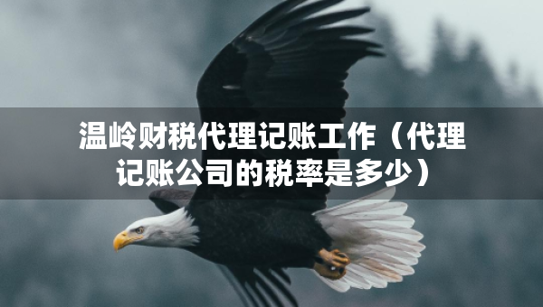 溫嶺財(cái)稅代理記賬工作（代理記賬公司的稅率是多少）