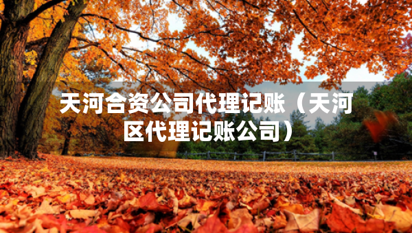 天河合資公司代理記賬(天河區(qū)代理記賬公司) 天河合資公司代理記賬(天河區(qū)代理記賬公司)