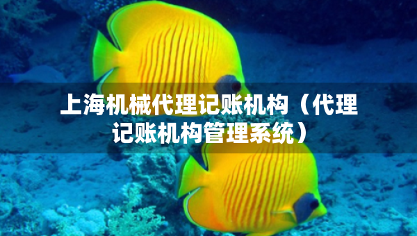 上海機(jī)械代理記賬機(jī)構(gòu)（代理記賬機(jī)構(gòu)管理系統(tǒng)）