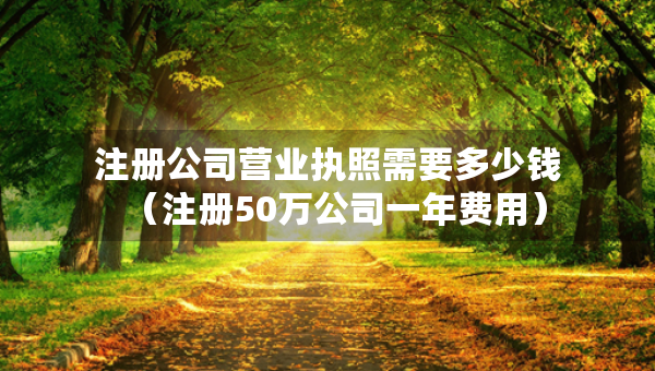 注冊(cè)公司營(yíng)業(yè)執(zhí)照需要多少錢（注冊(cè)50萬(wàn)公司一年費(fèi)用）