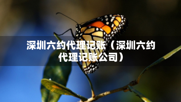 深圳六約代理記賬（深圳六約代理記賬公司）