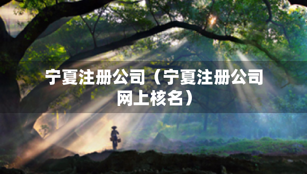寧夏注冊(cè)公司（寧夏注冊(cè)公司網(wǎng)上核名）