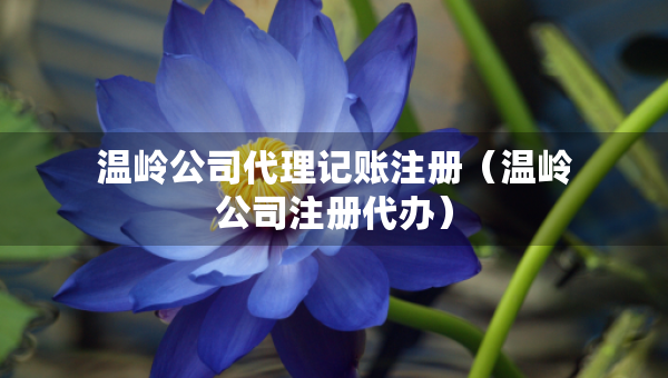 溫嶺公司代理記賬注冊（溫嶺公司注冊代辦）
