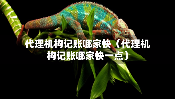代理機(jī)構(gòu)記賬哪家快（代理機(jī)構(gòu)記賬哪家快一點(diǎn)）