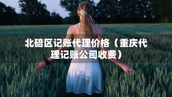 北碚區(qū)記賬代理價格（重慶代理記賬公司收費）