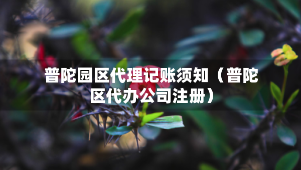 普陀園區(qū)代理記賬須知（普陀區(qū)代辦公司注冊）