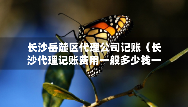 長沙岳麓區(qū)代理公司記賬(長沙代理記賬費用一般多少錢一個月) 長沙岳麓區(qū)代理公司記賬(長沙代理記賬費用一般多少錢一個月)