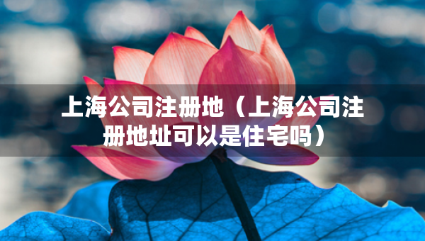 上海公司注冊(cè)地（上海公司注冊(cè)地址可以是住宅嗎）
