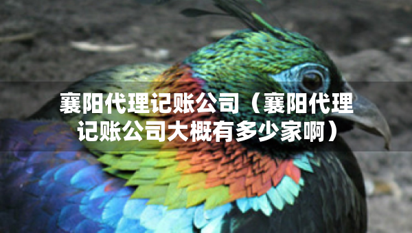 襄陽代理記賬公司（襄陽代理記賬公司大概有多少家啊）