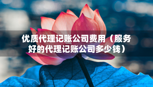 優(yōu)質(zhì)代理記賬公司費(fèi)用（服務(wù)好的代理記賬公司多少錢）