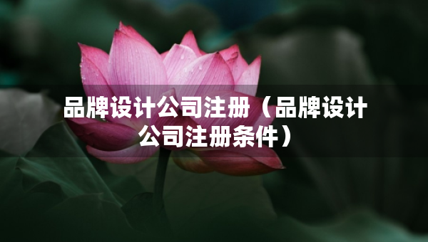 品牌設(shè)計公司注冊（品牌設(shè)計公司注冊條件）