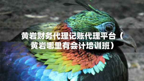 黃巖財(cái)務(wù)代理記賬代理平臺（黃巖哪里有會計(jì)培訓(xùn)班）