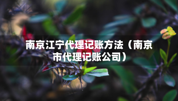 南京江寧代理記賬方法（南京市代理記賬公司）