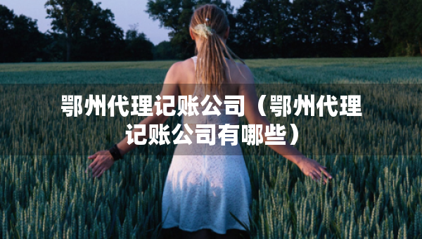 鄂州代理記賬公司（鄂州代理記賬公司有哪些）