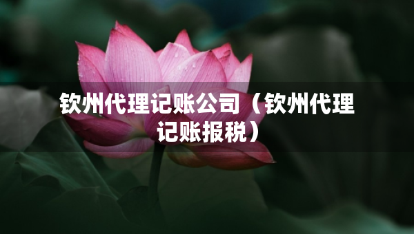 欽州代理記賬公司（欽州代理記賬報稅）