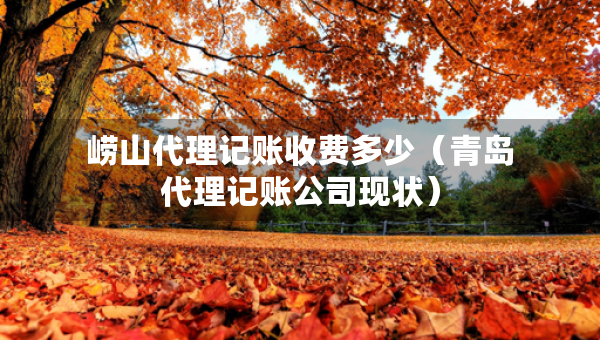 嶗山代理記賬收費多少（青島代理記賬公司現(xiàn)狀）
