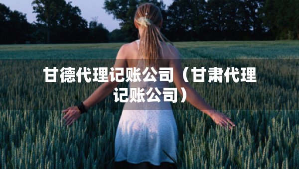 甘德代理記賬公司（甘肅代理記賬公司）