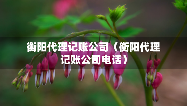 衡陽代理記賬公司（衡陽代理記賬公司電話）