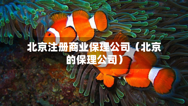 北京注冊(cè)商業(yè)保理公司(北京的保理公司) 北京注冊(cè)商業(yè)保理公司(北京的保理公司)