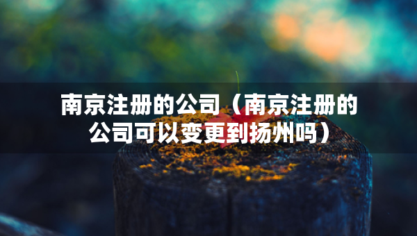 南京注冊的公司（南京注冊的公司可以變更到揚州嗎）