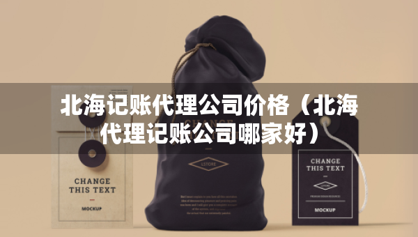北海記賬代理公司價格（北海代理記賬公司哪家好）