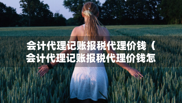 會(huì)計(jì)代理記賬報(bào)稅代理價(jià)錢(qián)（會(huì)計(jì)代理記賬報(bào)稅代理價(jià)錢(qián)怎么填）