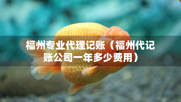 福州專業(yè)代理記賬（福州代記賬公司一年多少費(fèi)用）