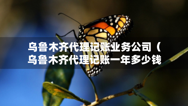 烏魯木齊代理記賬業(yè)務(wù)公司（烏魯木齊代理記賬一年多少錢）